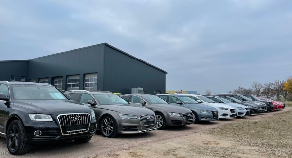 AMS AUTOMOBILE GMBH, KFZ-Werkstatt in RIBNITZ - DAMGARTEN